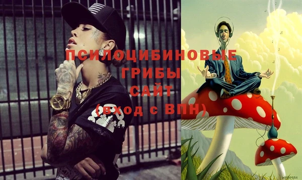 спиды Заводоуковск