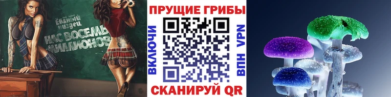 Псилоцибиновые грибы Cubensis  Купить где  Ишим 
